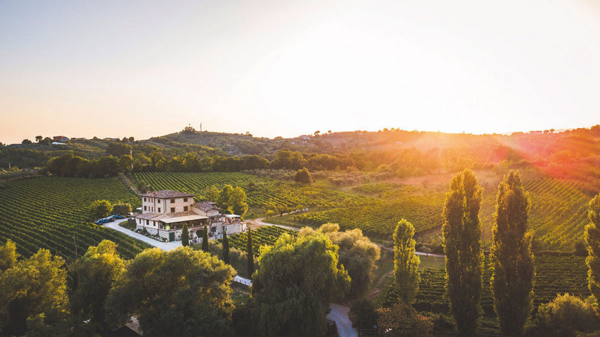 Degustazione de light
